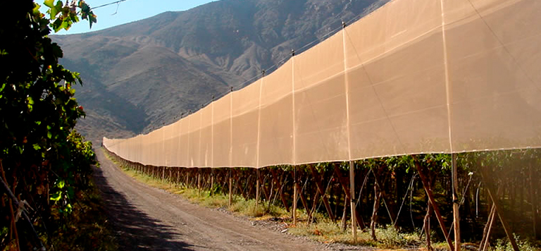 Malla Cortaviento - imagen 4 | T-GEOFLEX Perú