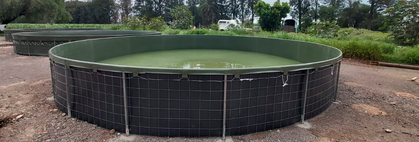 Sin título-1